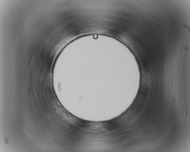 X0000103941332200809191138