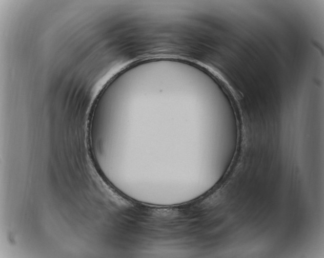 X0000103941333200809191138