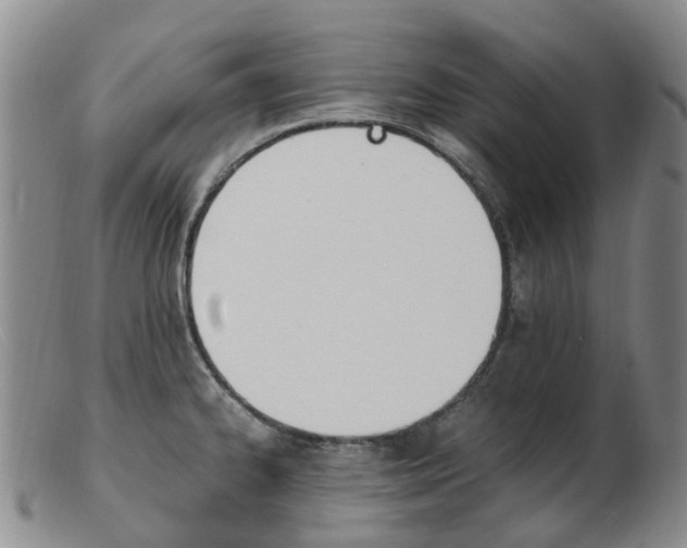 X0000103941334200809191138