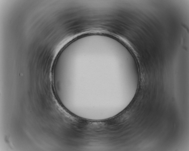 X0000103941335200809191138