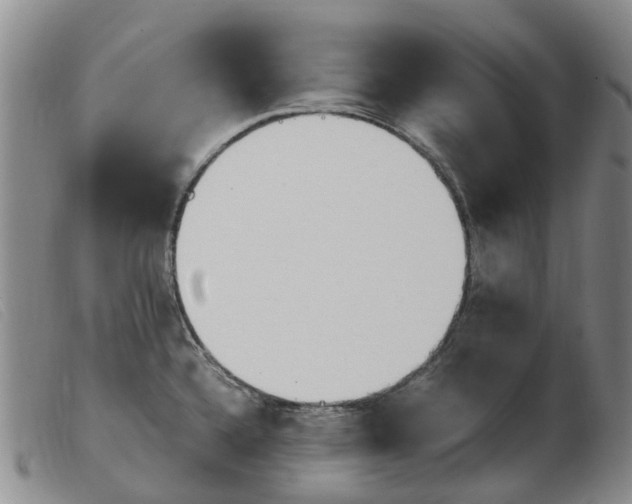 X0000103941336200809191138
