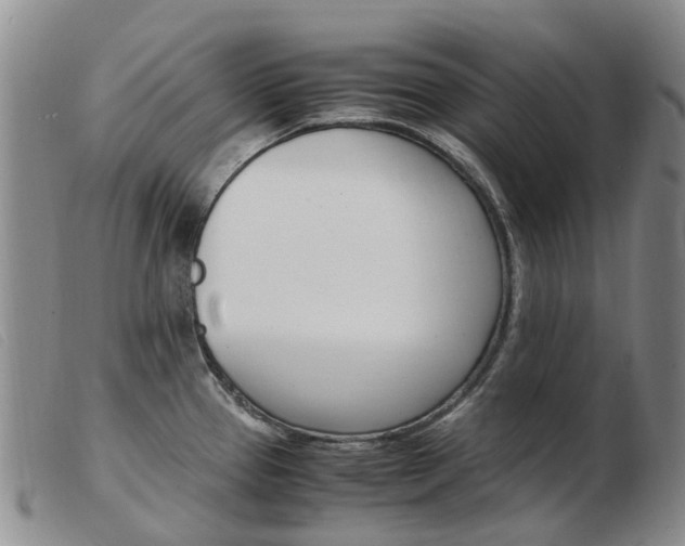 X0000103941337200809191138