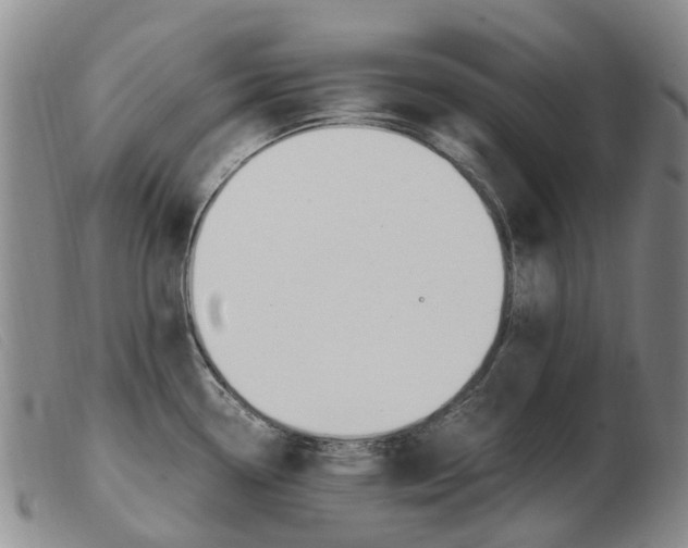 X0000103941338200809191138