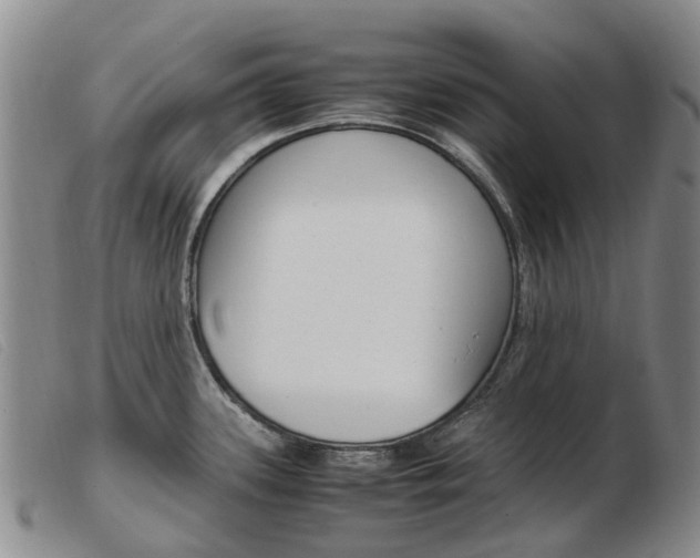 X0000103941339200809191138