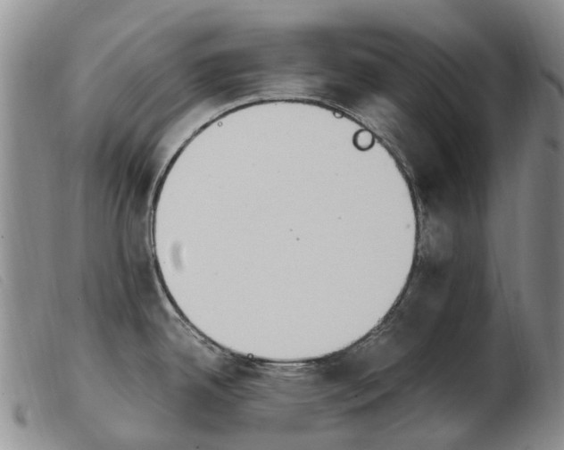 X0000103941342200809191138