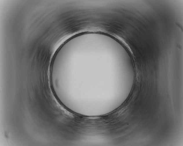 X0000103941343200809191138