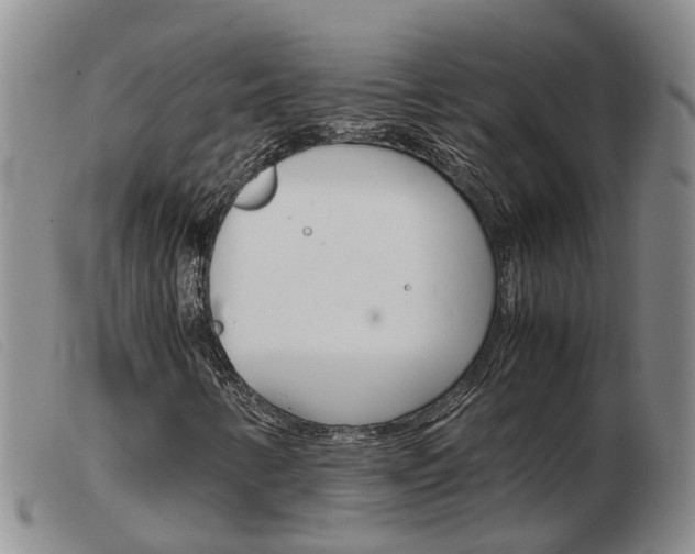 X0000103941346200809191138