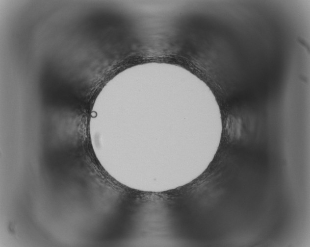 X0000103941348200809191138