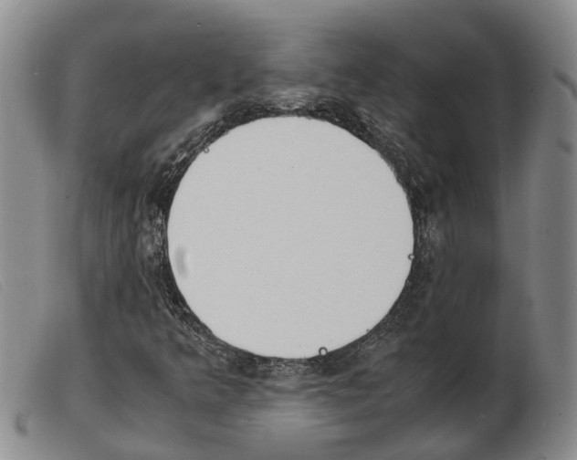 X0000103941349200809191138