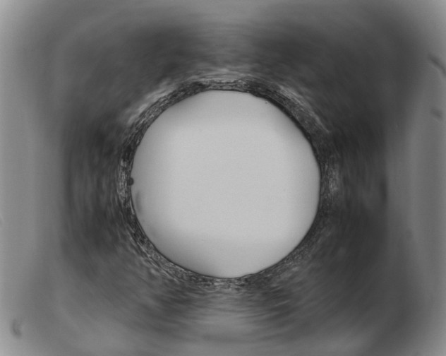 X0000103941350200809191138