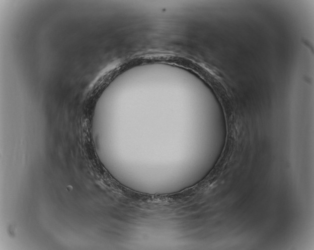 X0000103941351200809191138