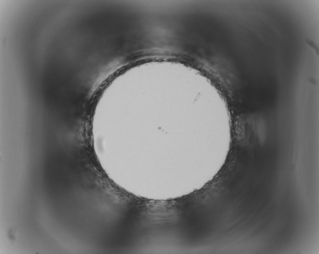 X0000103941352200809191138