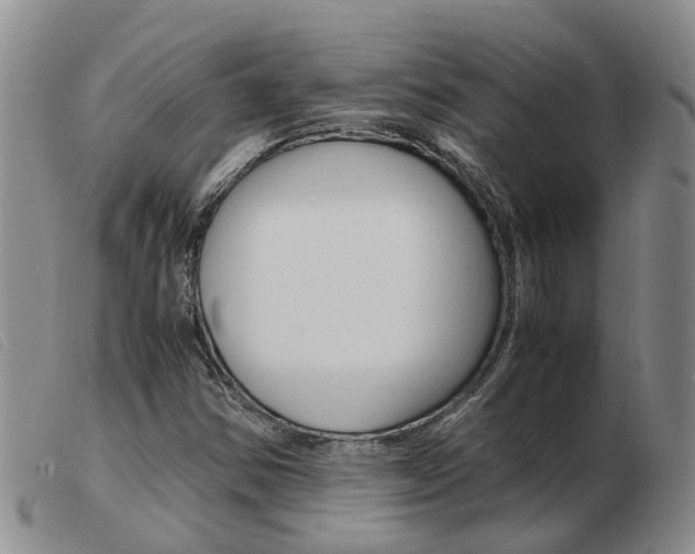 X0000103941354200809191138