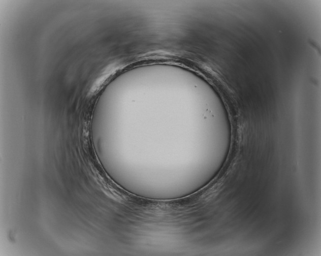 X0000103941355200809191138