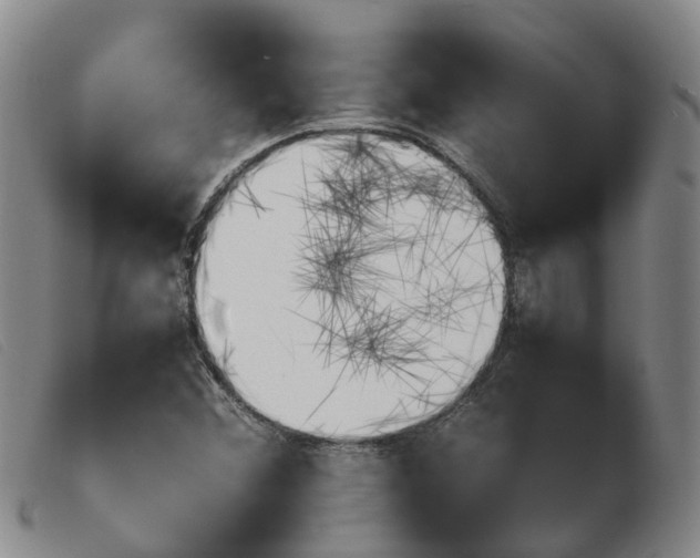 X0000103941356200809191138
