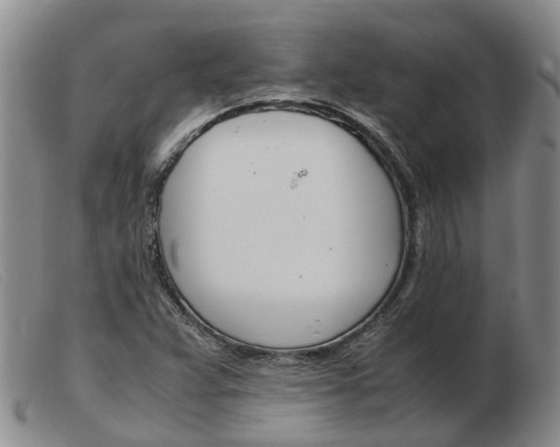 X0000103941359200809191138