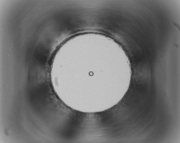 X0000103941360200809191138