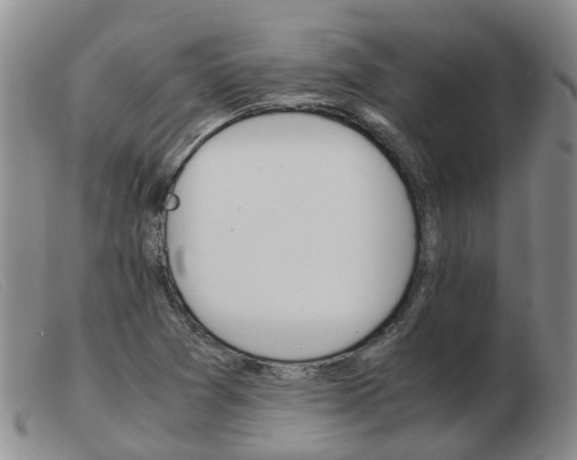 X0000103941361200809191138