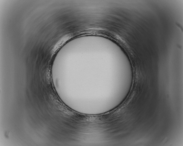 X0000103941362200809191138