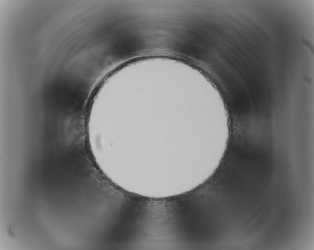 X0000103941364200809191137