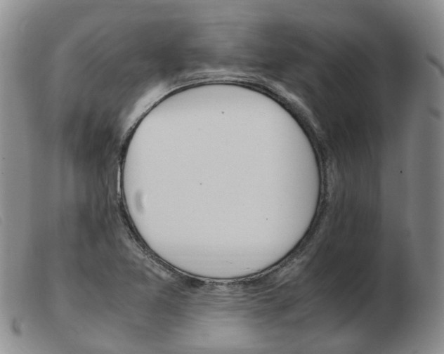 X0000103941365200809191137