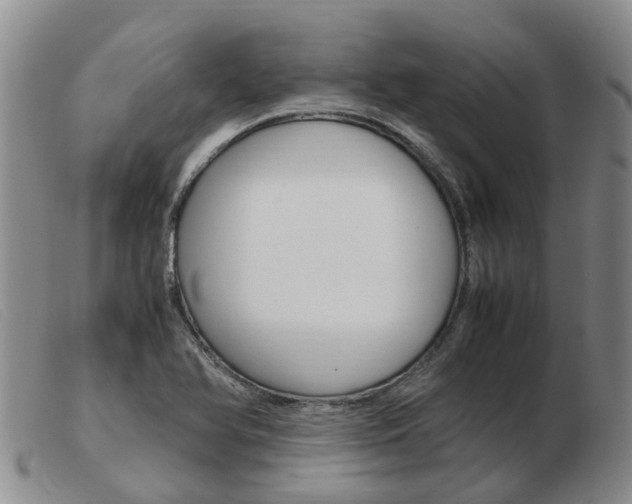 X0000103941366200809191137