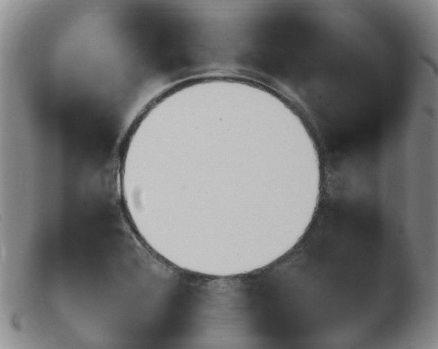 X0000103941368200809191137