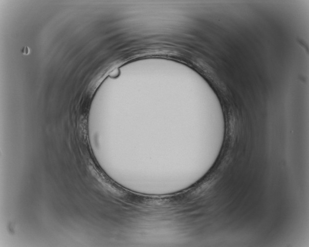 X0000103941369200809191137