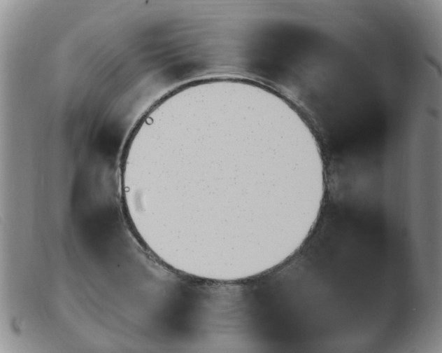 X0000103941372200809191137