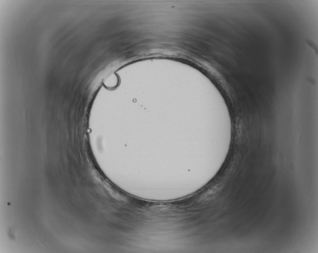 X0000103941373200809191137