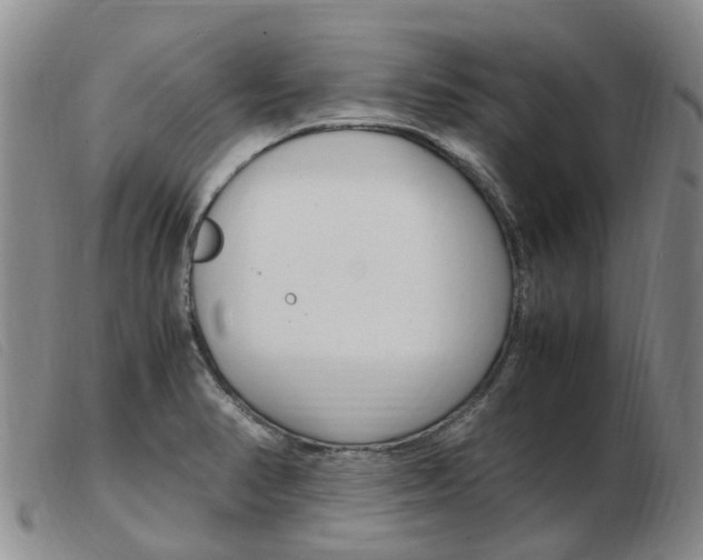 X0000103941374200809191137