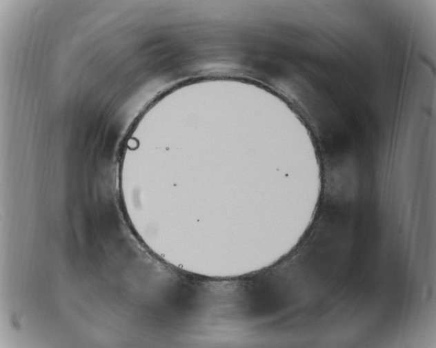 X0000103941376200809191137