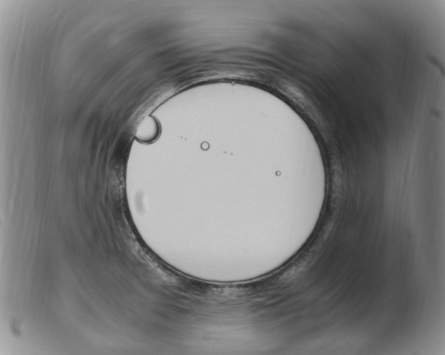 X0000103941377200809191137