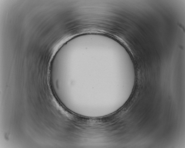 X0000103941379200809191137