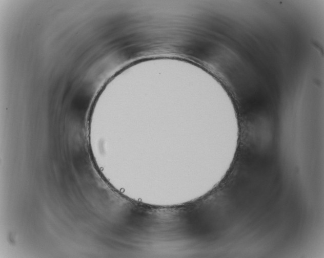 X0000103941380200809191137