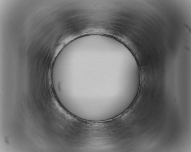 X0000103941382200809191137