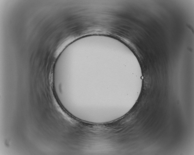 X0000103941383200809191137