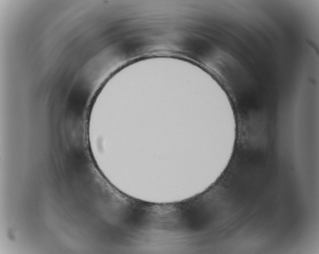 X0000103941384200809191137