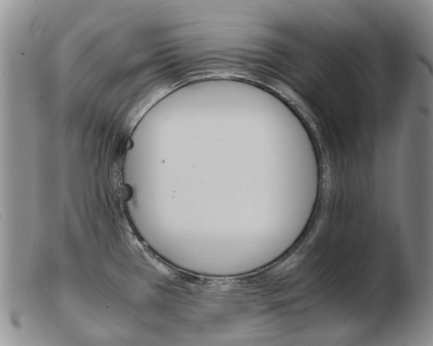 X0000103941385200809191137