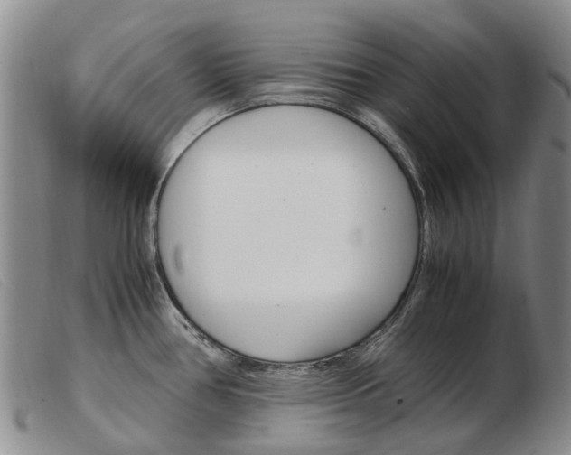 X0000103941386200809191137