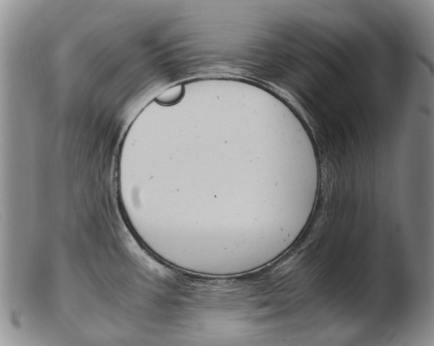 X0000103941387200809191137