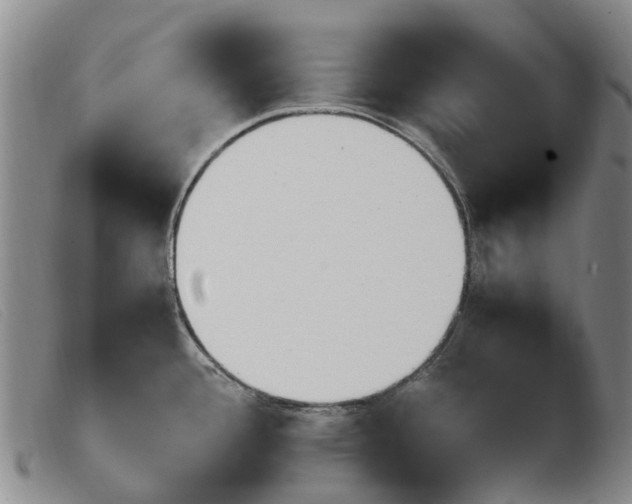 X0000103941388200809191137