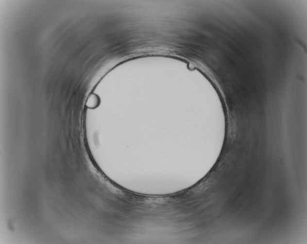 X0000103941389200809191137
