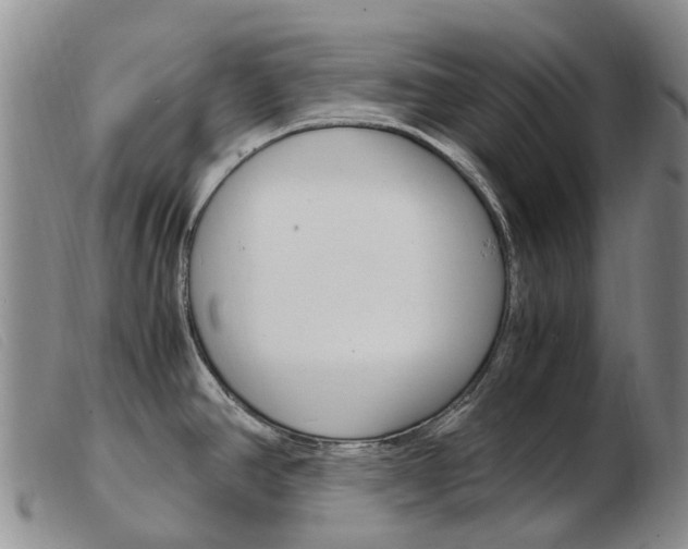 X0000103941390200809191137