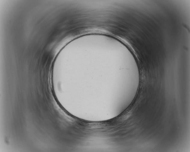 X0000103941391200809191137