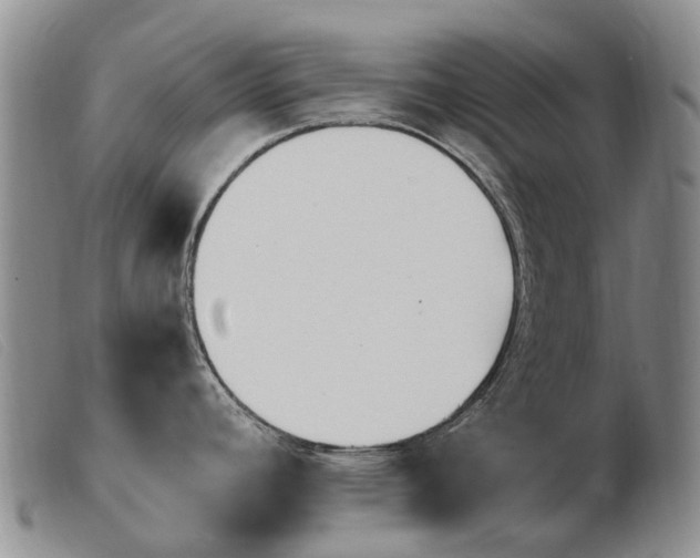 X0000103941392200809191137