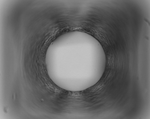 X0000103941393200809191136