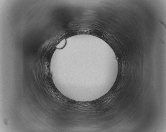 X0000103941394200809191136