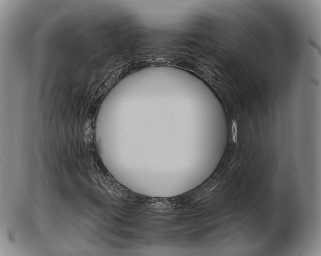 X0000103941395200809191136
