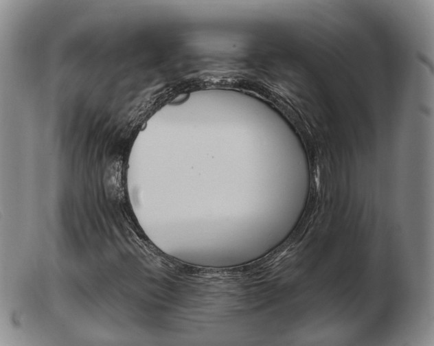 X0000103941396200809191136